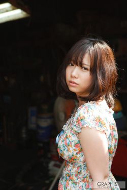 GARY东北打桩机无套2023